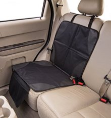 carseat protector